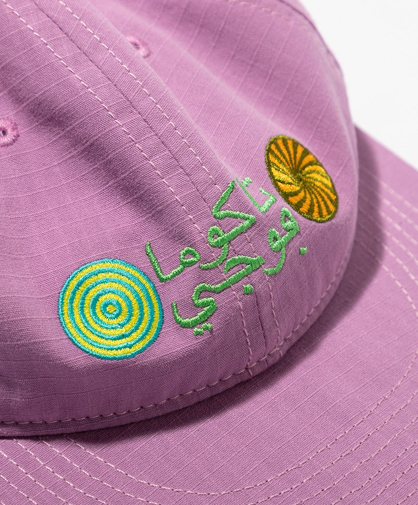 TACOMA FUJI RECORDS UNITY IN DIVERSITY CAP