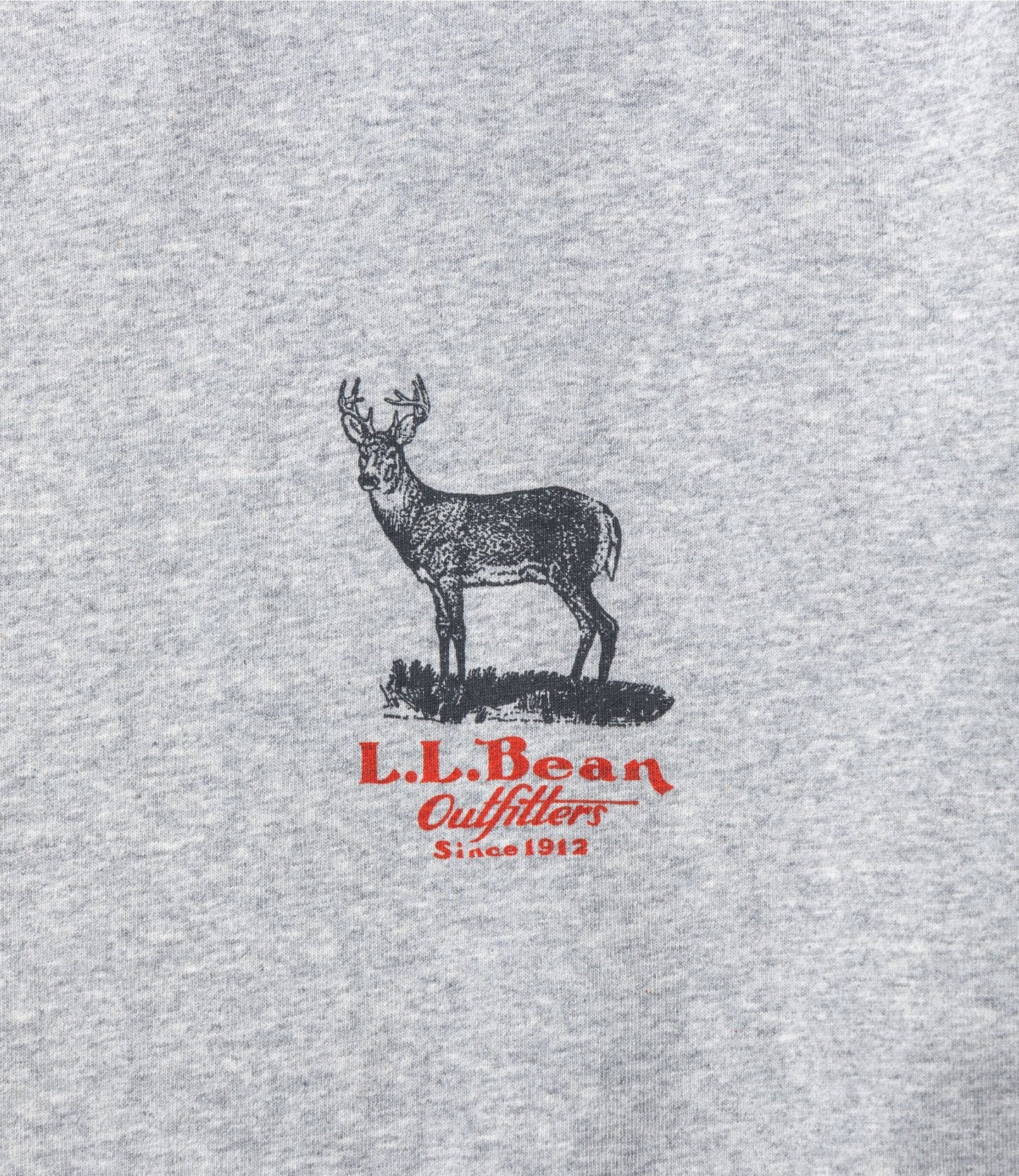 L.L.Bean JAPAN EDITION Morrill Short-Sleeve Animal Graphic Tee