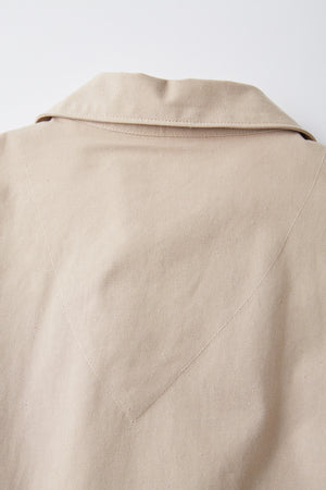 OLD JOE & CO. SILK NEP CLOTH SOUVENIR SHIRTS (Long-sleeve)