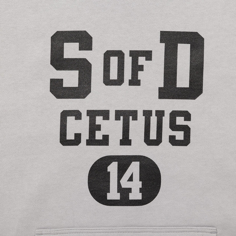 DESCENDANT SONS HOODY