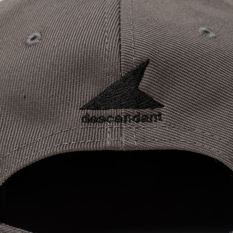 DESCENDANT TEAM 6PANEL