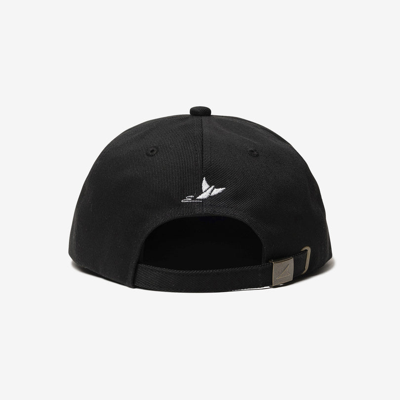 DESCENDANT UNDER THE CURRENT 6PANEL