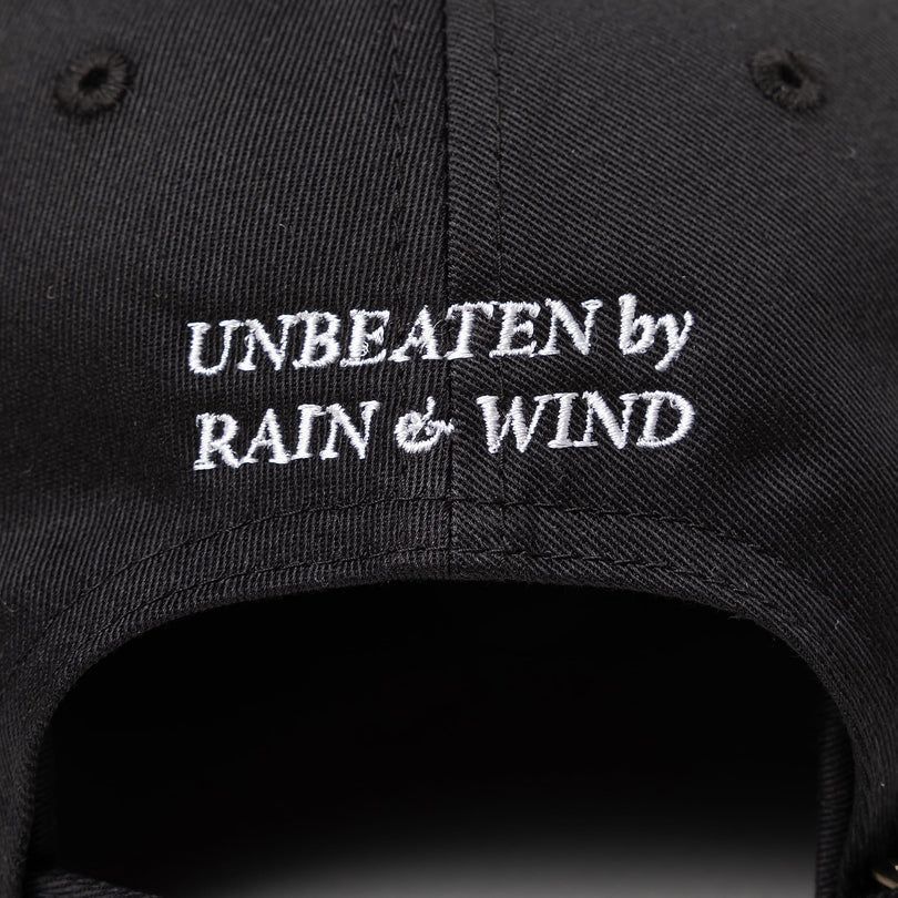 DESCENDANT HORIZON 6PANEL