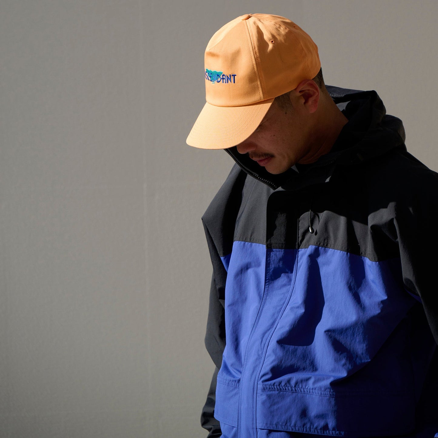 DESCENDANT FLUKE UP TRUCKER