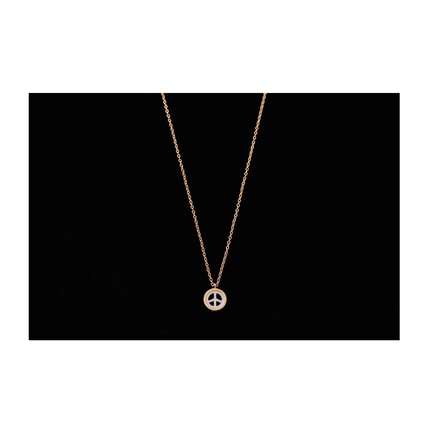 Porter Classic PEACE SHELL GOLD NECKLACE