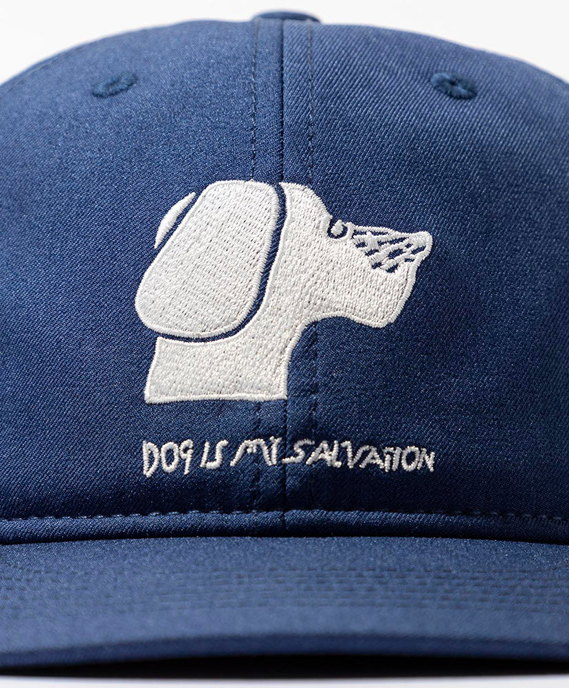 TACOMA FUJI RECORDS DOG IS MY SALVATION CAP