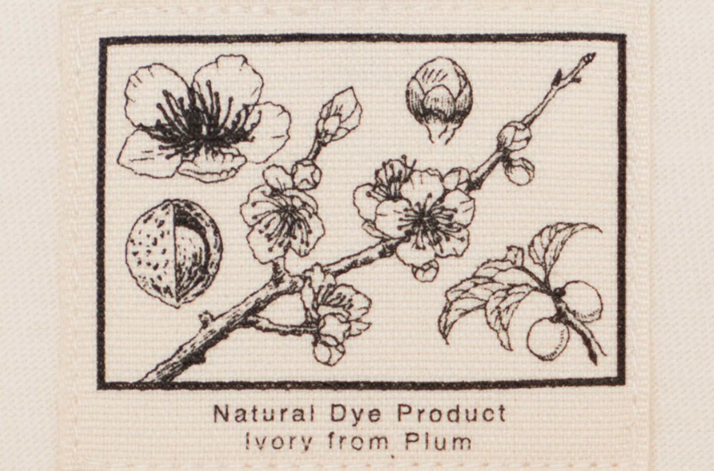 THE NORTH FACE PURPLE LABEL Field H/S Big Polo