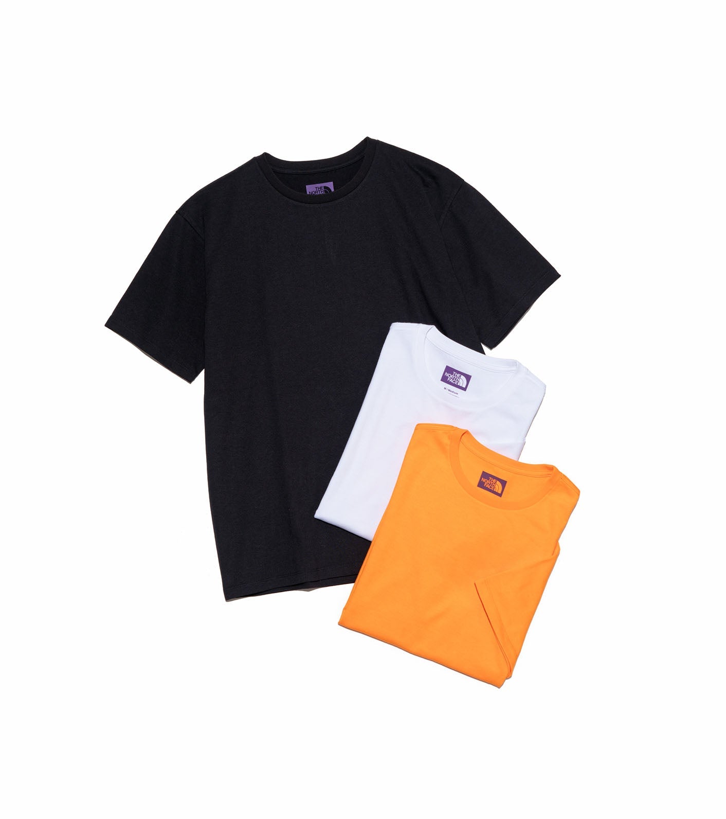 THE NORTH FACE PURPLE LABEL Pack Field Tee 3P