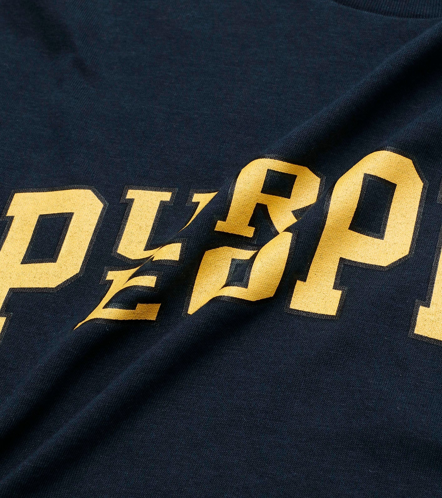 THE NORTH FACE PURPLE LABEL COOLMAX Graphic Pack Tee