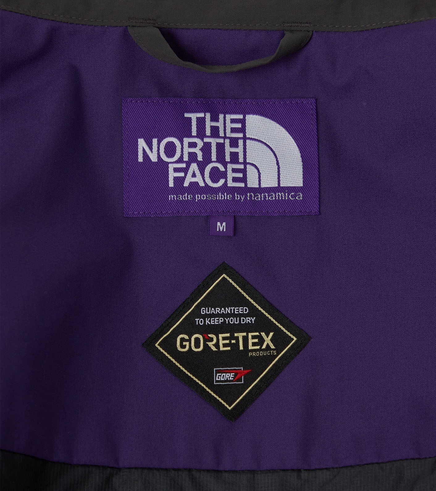 THE NORTH FACE PURPLE LABEL GORE-TEX Field Jacket