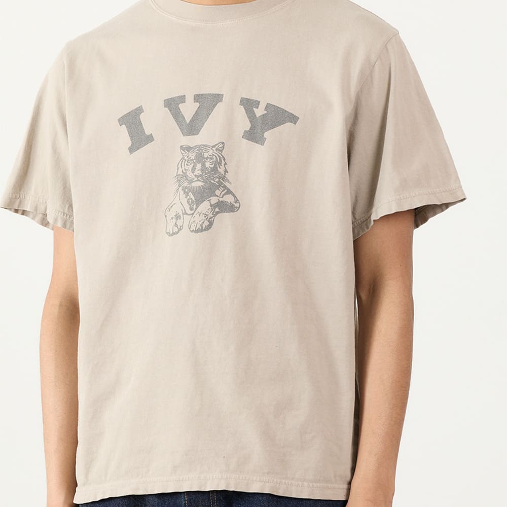 REMI RELIEF HARD SP Processing 20/Tenjiku Regular T (IVY)