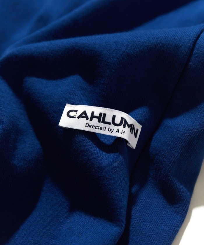 CAHLUMN Heavy Weight Jersey Thermal Lined Gym Pant