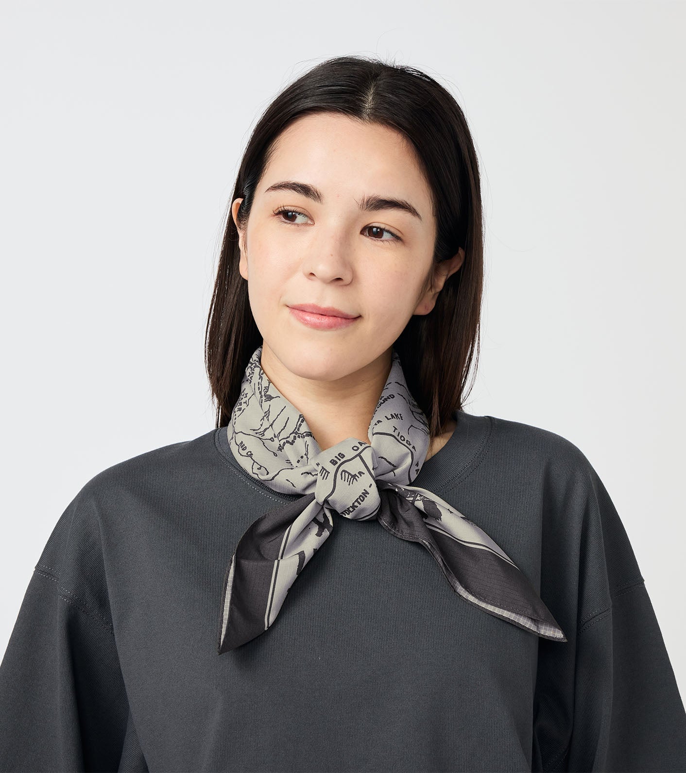 THE NORTH FACE PURPLE LABEL Mountain Field Scarf