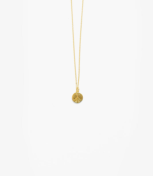 Needles Pendant - Gold Plate