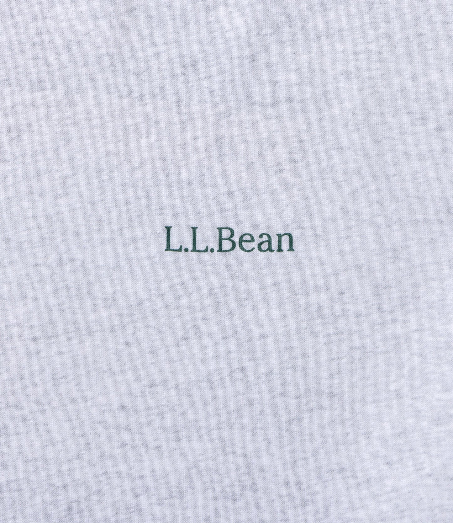 L.L.Bean JAPAN EDITION Bean's Back Katahdin Tee