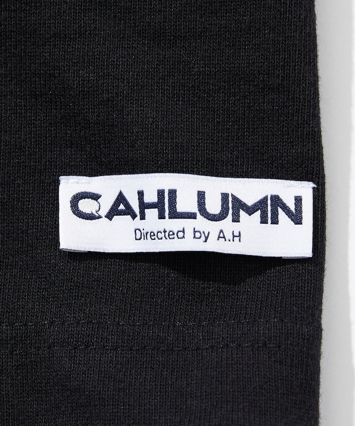 CAHLUMN Heavy Weight Jersey Gym Shorts