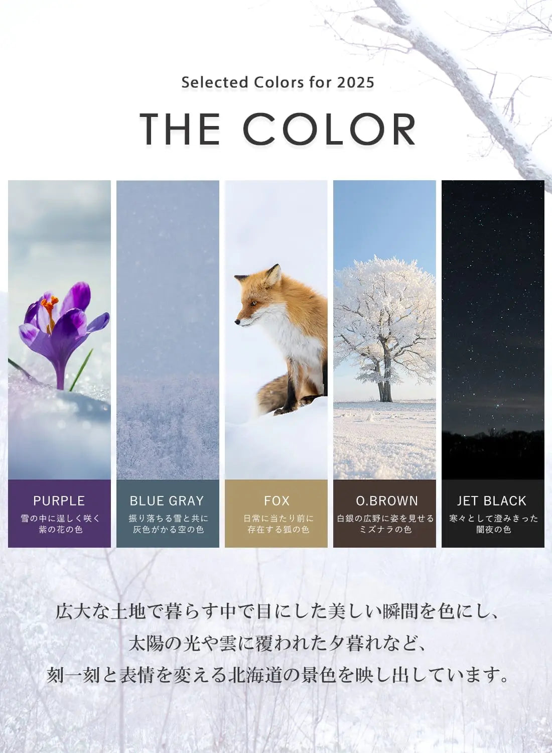 NANGA WHITE LABEL DOWN JACKET TYPE 1